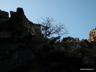 Grotta Madonna della Roccia